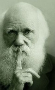 Darwin