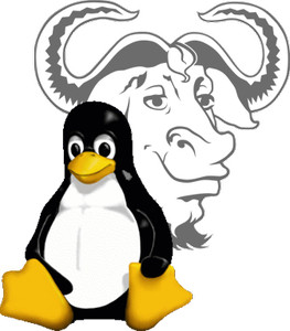 GNU Linux