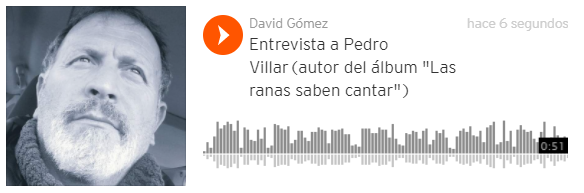 Entrevista a Pedro Villar(autor del álbum "Las ranas saben cantar")